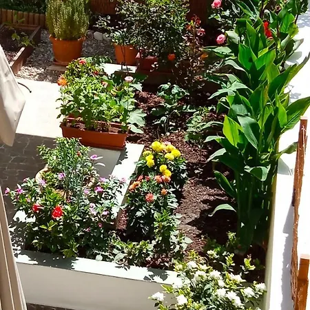 Charming Garden Apartment Rhodes City Room photo