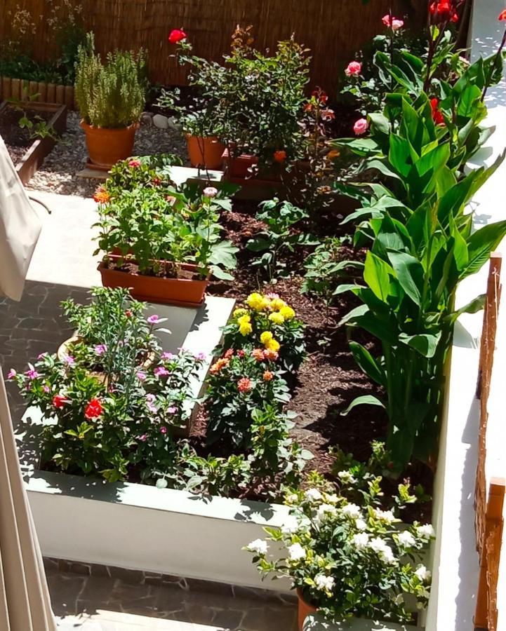 Charming Garden Rhodes City